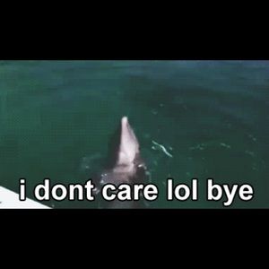 Meet your Posher, Tony